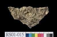 藏品(礫岩)的圖片